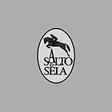 Logo - Salto & Sela